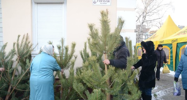 В Черкассах 
