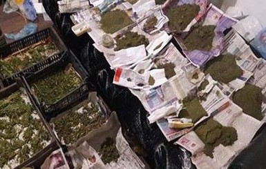 В Запорожье изъяли наркотики на миллион гривен 