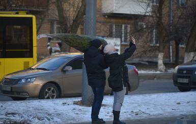 Как киевляне готовятся к Новому году: фото