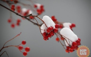 Народные приметы на январь: много снега – ждите богатый год, тепло – к холодной весне