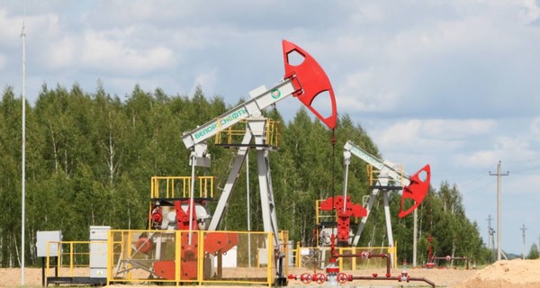 В Беларуси нашли новое месторождение нефти