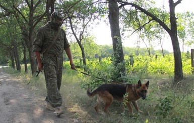 Дело о нападении овчарок на участника АТО взял под личный контроль губернатор Киевщины