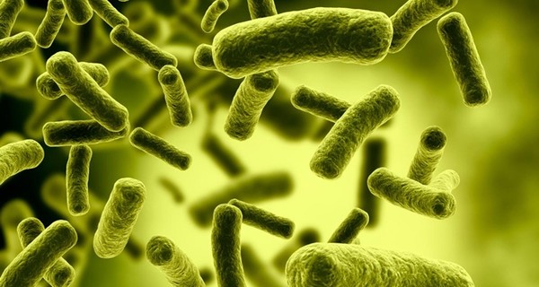 Впервые в истории США человека убила супербактерия