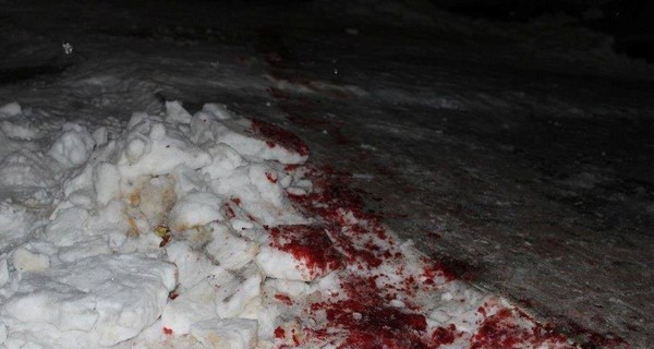 В Житомирской и Ровненской области неизвестные устроили кровавые 
