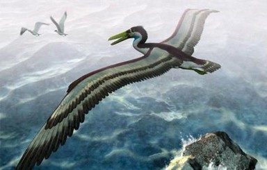 В Италии нашли останки гигантского боевого гуся