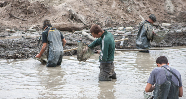 В Олевске за день 