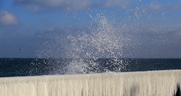 В Одессе Черное море сковало льдами: фотофакт