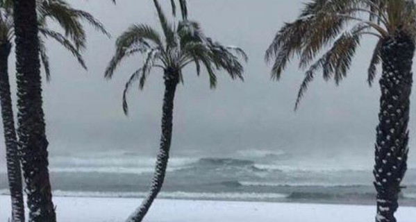 Аномальный снегопад в Испании: снеговики на берегу моря и пальмы вместо елок