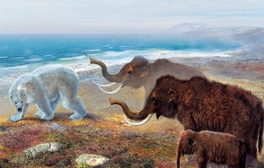 Ученые раскрыли причину вымирания древних гигантских животных