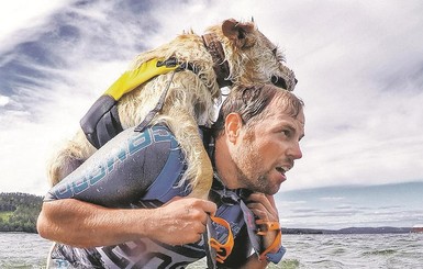 Бездомный пес пробежал за марафонцем 688 километров