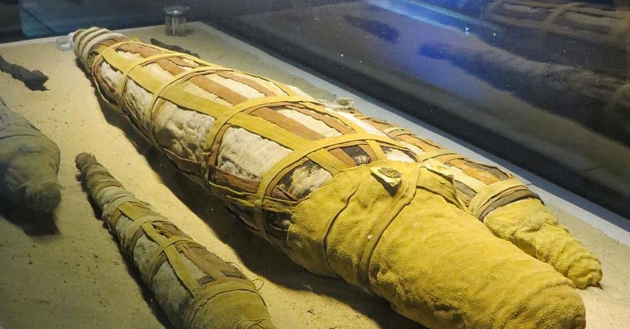 В Египте найдена огромная мумия крокодила