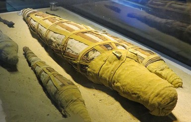 В Египте найдена огромная мумия крокодила