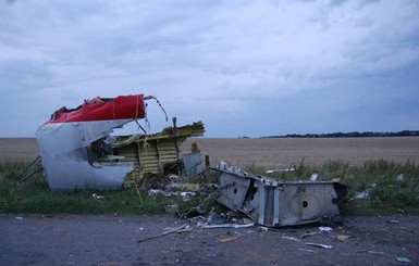 Прокуратура Нидерландов не подтвердила подлинность информации РФ по MH17