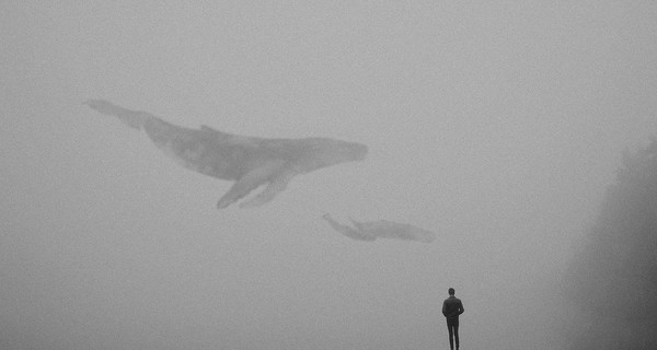 Полиция задержала двух администраторов 