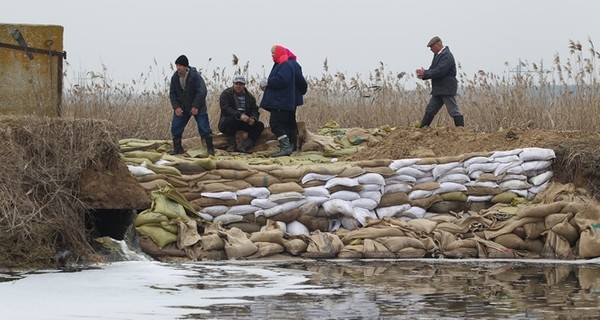 На стихийных рынках Киева увеличились продажи рыбы из 