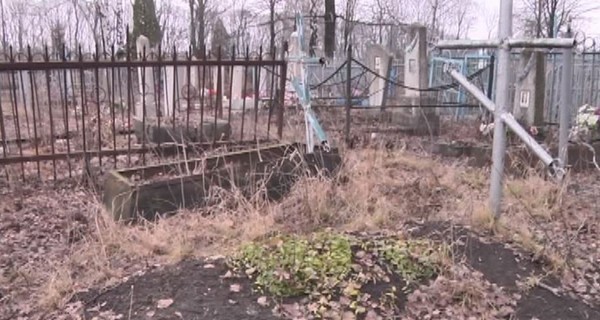 На Харьковщине собаки вырыли из заброшенной могилы труп младенца
