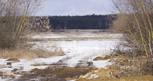 СМИ: под Харьковом нашли задушенную и обгоревшую девушку