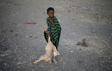 Национальное бедствие в Кении: беспощадная засуха уничтожает все