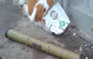 На мусорке в Житомире нашли корпус от гранатомета