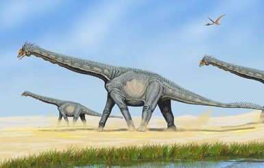 В Австралии нашли самый крупный в мире след динозавра