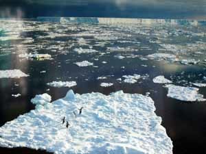 209 человек уплыли на льдине в азовское море 
