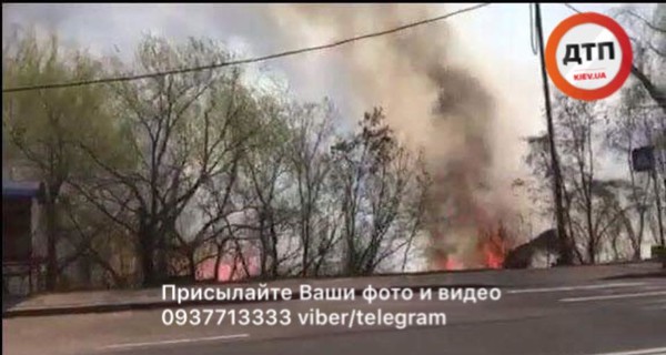 В Киеве вспыхнул пожар на берегу Совских прудов