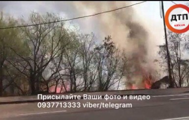 В Киеве вспыхнул пожар на берегу Совских прудов