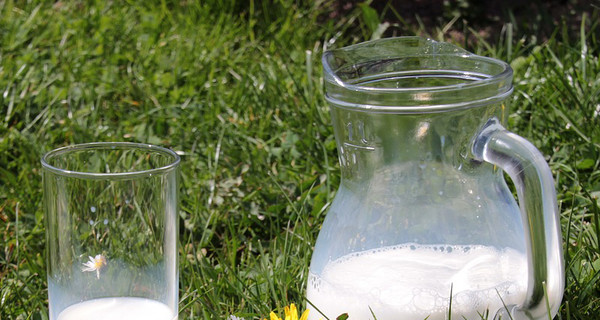 5 главных мифов о молоке