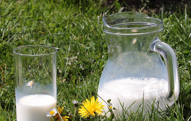 5 главных мифов о молоке