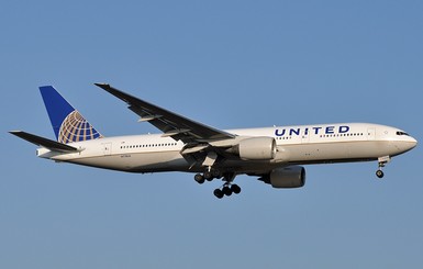 Скорпион ужалил пассажира во время еды на борту самолета скандальной United Airlines