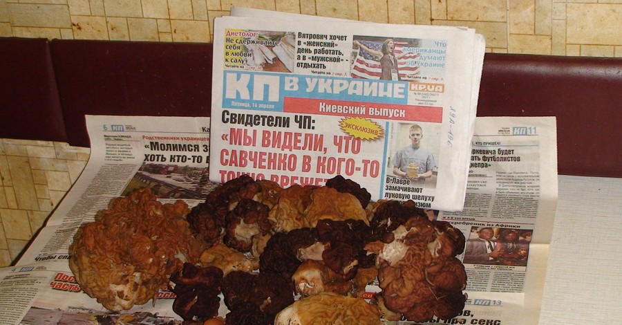 Под Киевом собрали первый урожай весенних грибов