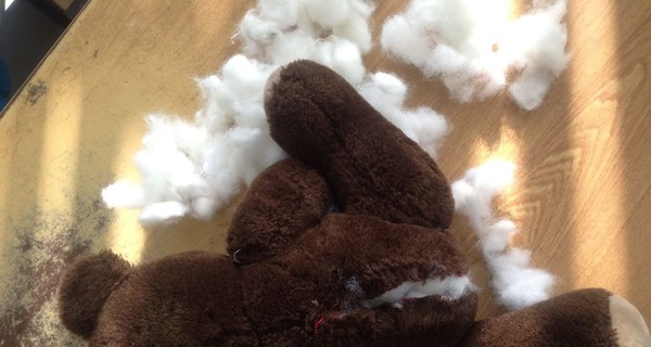 Конфеты и медведи: таможенник Тупальский рассказал о необычных 