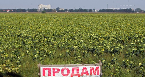 Продажа земли в Украине: аргументы за и против