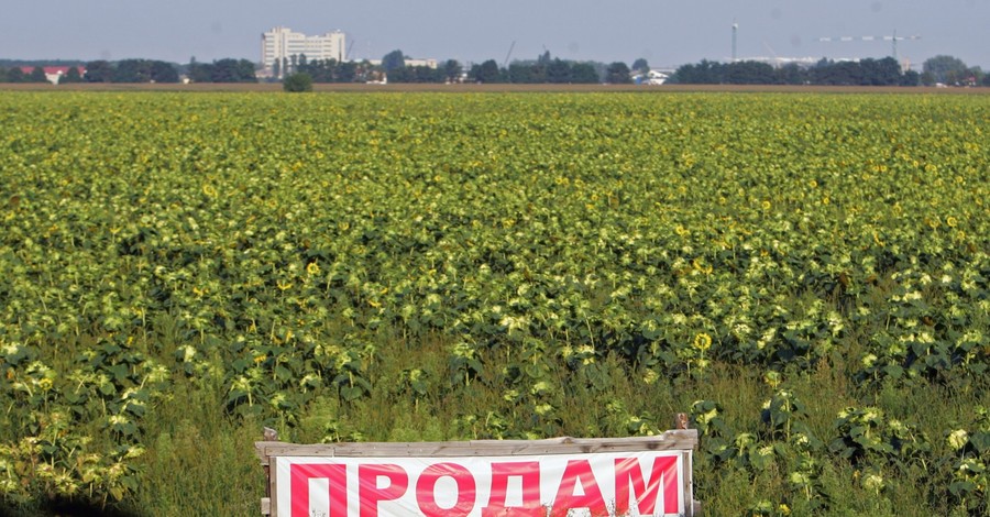 Продажа земли в Украине: аргументы за и против