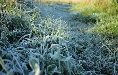 Укргидрометцентр предупредил о похолодании в пяти областях