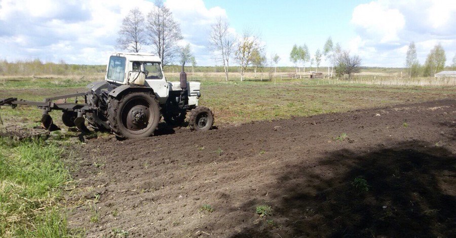 В Косачевке вернувшиеся реабилитанты кормят животных и пашут огород