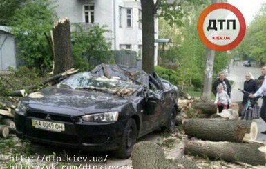 В Киеве огромное дерево раздавило машину, едва не погибла семья 