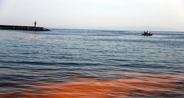 У Мраморного моря появился оранжевый оттенок