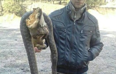 В Полтавской области нашли гигантскую змею