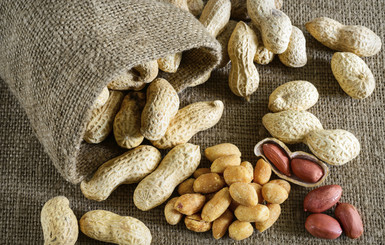 Здоровое питание: в какое время лучше есть орехи