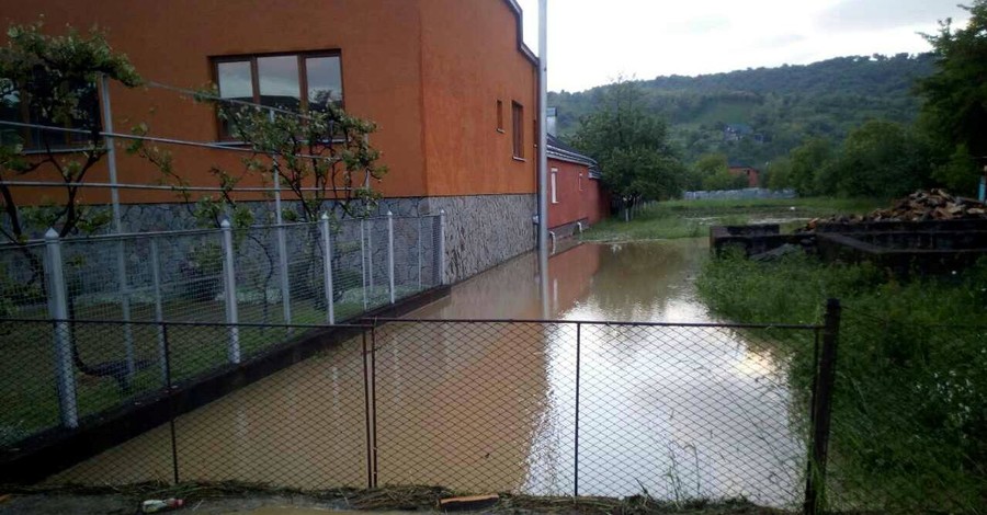 Наводнение на Закарпатье: от стихии пострадали около ста домов