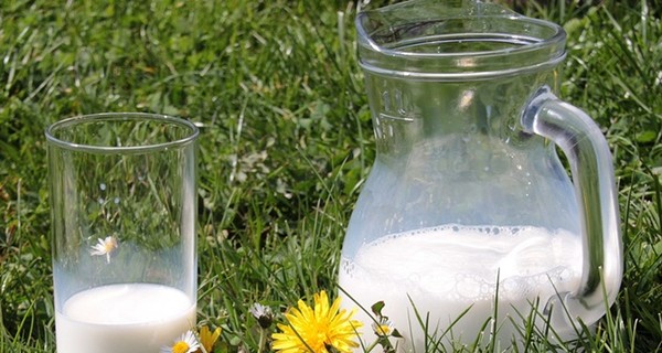 В Украине могут запретить молоко частных домохозяйств