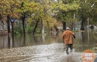 В Прикарпатье затопило десятки домов, колодцев, дорогу и фермерские угодья 