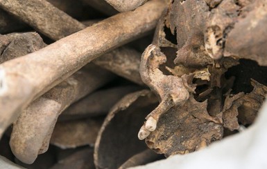 В Литве рядом с президентским дворцом нашли 9 мешков с человеческими костями