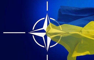 До вступления в НАТО - минимум 10 лет