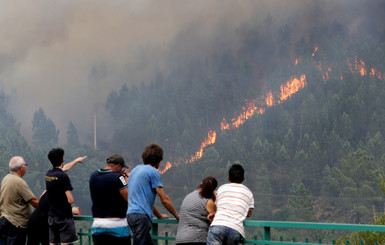 Жертвами масштабного пожара в Португалии стал уже 61 человек