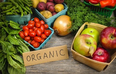 Для производства органических продуктов готовят единые правила и окончательный закон