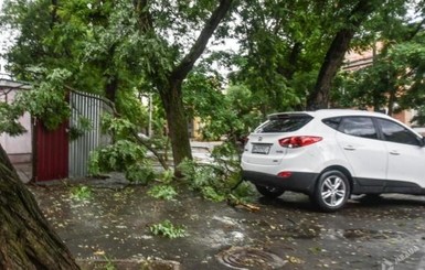 В Одессе за 5 минут ураган успел затопить улицы и повалить множество деревьев