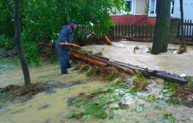Из-за плохой погоды в Украине 188 населенных пунктов остались без света
