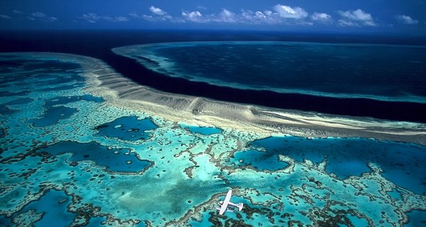 Большой барьерный риф оценили в 42 миллиарда долларов
